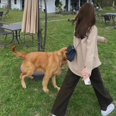 春妇传